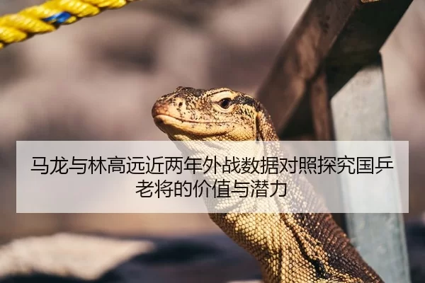 马龙与林高远近两年外战数据对照探究国乒老将的价值与潜力