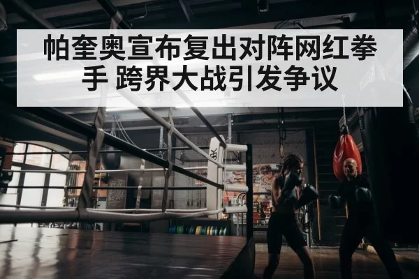 boxer training